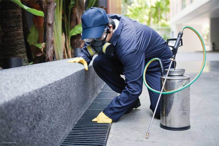 What to do After Fumigation Service: