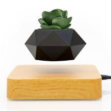 Why You Need A Levitating Bonsai Plant Holder For Your Desk Setup