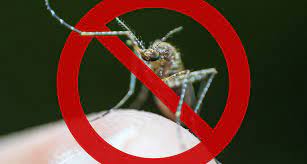 Electronic Pest Control – Commercial mosquito control in East Meadow?